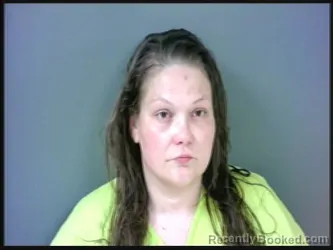 Mugshot of TRACIE LEE CLEMONS booked in Starke County, Indiana on June 30, 2026