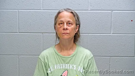 Mugshot of VIRGINIA ADDABELLE MORRISON booked in Steuben County, Indiana on June 23, 2026