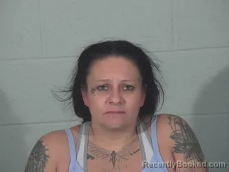 Mugshot of TERRI ANN PALMERTON