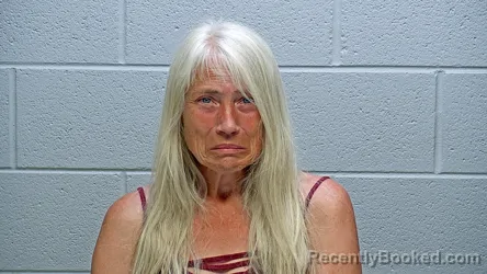 Mugshot of AUTUMN ALISA WILDER booked in Steuben County, Indiana on June 14, 2026