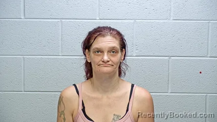 Mugshot of TIFFANY J RISK booked in Steuben County, Indiana on June 29, 2026