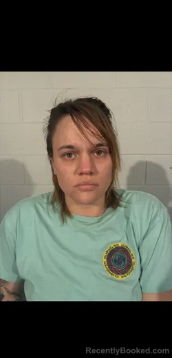 Mugshot of WHITNEY LORRAINE MCILVAIN