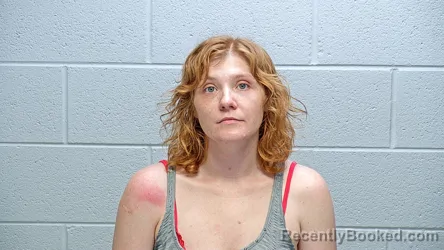 Mugshot of CASSANDRA KAY WELLS-EIB booked in Steuben County, Indiana on June 4, 2026