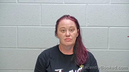 Mugshot of Melissa Ann Troyer booked in Steuben County, Indiana on August 31, 2026