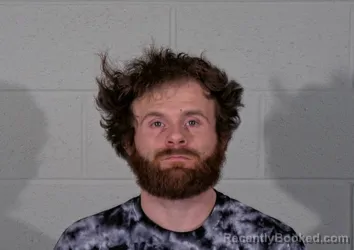 Mugshot of DAYTON J WEBB