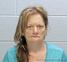 Mugshot of GINI LYN MONHOLLEN booked in Steuben County, Indiana on April 21, 2026