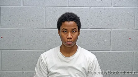 Mugshot of FELECIA MARLECIA THROW booked in Steuben County, Indiana on June 22, 2026