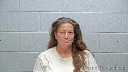 Mugshot of SHANAN NICHOLE ALLISON booked in Steuben County, Indiana on July 7, 2026