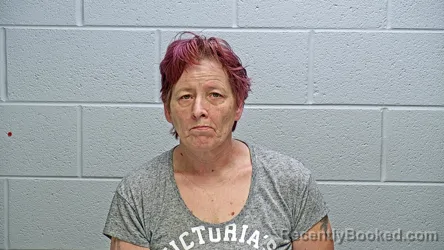 Mugshot of ELIZABETH MARIE RUIZ booked in Steuben County, Indiana on May 13, 2026