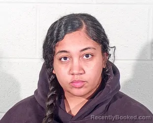 Mugshot of DEJANIQUE ALIZE PAYTON booked in Steuben County, Indiana on March 27, 2026