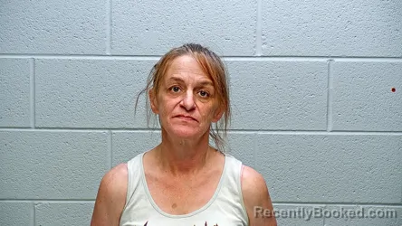 Mugshot of DENISE COLLEEN WOLF booked in Steuben County, Indiana on June 4, 2026