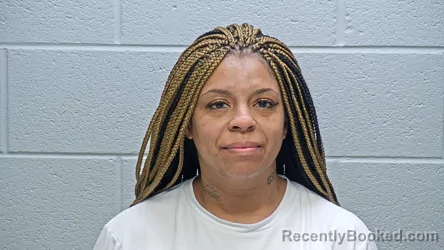 Mugshot of TAMARA WILSON booked in Steuben County, Indiana on April 2, 2026