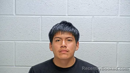 Mugshot of DEYVIS LEONEL CHAY CASTRO booked in Steuben County, Indiana on April 12, 2026