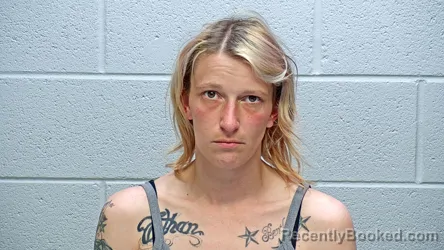 Mugshot of TAYLOR KRISTINE PALMATEER booked in Steuben County, Indiana on May 11, 2026