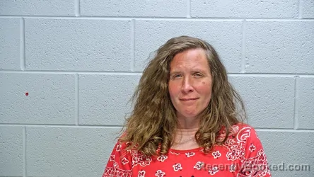 Mugshot of RACHEL ANN RICHARDS booked in Steuben County, Indiana on June 4, 2026