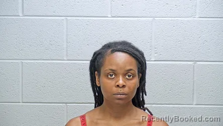 Mugshot of SIEANNA JANAY PHILLIPS booked in Steuben County, Indiana on July 14, 2026