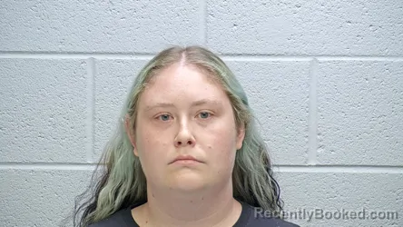 Mugshot of Taylor Leighann Martin booked in Steuben County, Indiana on August 7, 2026