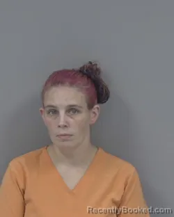 Mugshot of Brittani Lynette Brooks booked in Johnston County, North Carolina on August 28, 2026