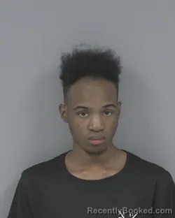Mugshot of JA`QUAVIS KESHON BRINSON booked in Johnston County, North Carolina on June 26, 2026
