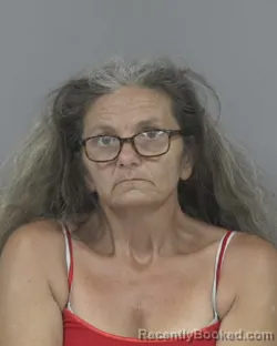 Mugshot of Loretta Gail Baker booked in Johnston County, North Carolina on July 27, 2026