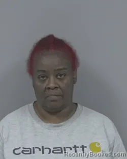 Mugshot of Pamela Jones Barbour booked in Johnston County, North Carolina on September 25, 2026