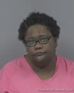 Mugshot of SHAWANA MONIQUE BRYANT booked in Johnston County, North Carolina on April 24, 2026