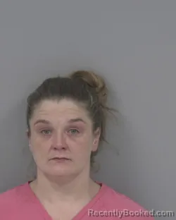 Mugshot of April Nicole Cook booked in Johnston County, North Carolina on August 10, 2026