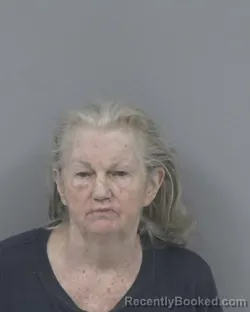 Mugshot of DEBORAH ALLEN CAMPBELL booked in Johnston County, North Carolina on June 17, 2026