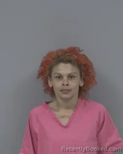 Mugshot of KELSEY LEEANNA CHAVIS booked in Johnston County, North Carolina on March 6, 2026