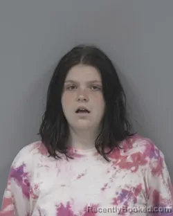 Mugshot of KATELYNN NICOLE CROCKER booked in Johnston County, North Carolina on June 27, 2026