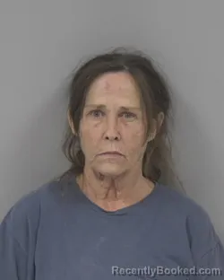 Mugshot of MARY ELLEN CUNNINGHAM booked in Johnston County, North Carolina on June 23, 2026