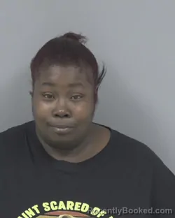 Mugshot of JACKIE MARIE DAVIS booked in Johnston County, North Carolina on April 24, 2026