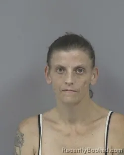 Mugshot of SHANNON NICOLE DEAL-PHELAN booked in Johnston County, North Carolina on July 2, 2026