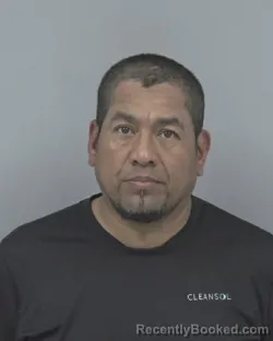 Mugshot of ALONZO OCHOA ELVIN