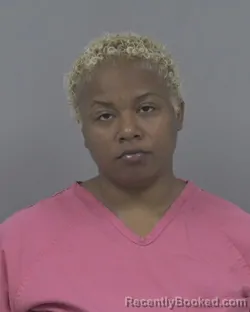 Mugshot of Franchon Jeviyah Shamore Evans booked in Johnston County, North Carolina on August 29, 2026