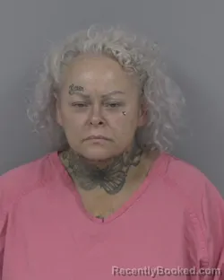 Mugshot of Joann Finch Fisher booked in Johnston County, North Carolina on September 2, 2026