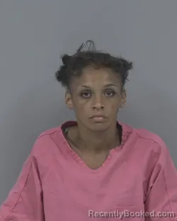 Mugshot of Raven Sierra Frear booked in Johnston County, North Carolina on August 26, 2026