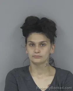 Mugshot of Tatianna Alicia Fonseca booked in Johnston County, North Carolina on August 21, 2026
