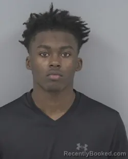 Booking photo from Johnston County, North Carolina