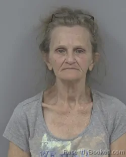 Mugshot of BETINA HUDSON booked in Johnston County, North Carolina on July 2, 2026