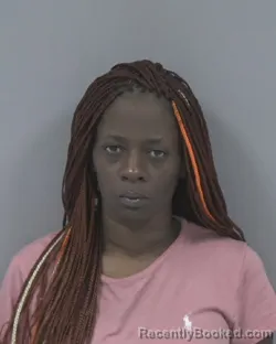 Mugshot of CHRISTINE MICHELLE J HOLDER booked in Johnston County, North Carolina on May 9, 2026