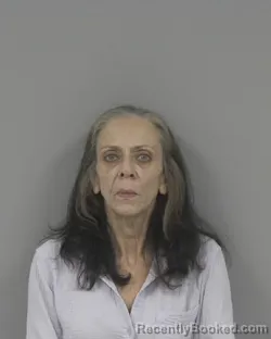 Mugshot of Jane Lynn Harrell booked in Johnston County, North Carolina on October 1, 2026