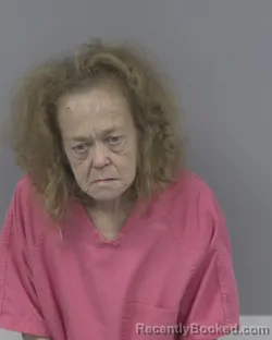 Mugshot of JANNICE WOOLARD HENSON booked in Johnston County, North Carolina on March 27, 2026