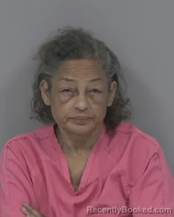 Mugshot of LORRAINE E HARRIS booked in Johnston County, North Carolina on March 13, 2026