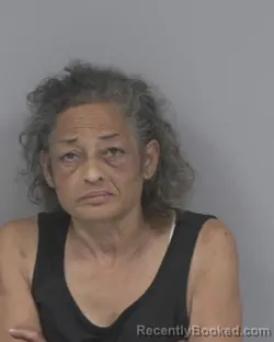 Mugshot of Lorraine E Harris booked in Johnston County, North Carolina on September 13, 2026
