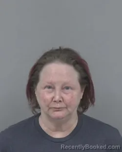 Mugshot of TONYA BARHAM HOWE booked in Johnston County, North Carolina on March 23, 2026