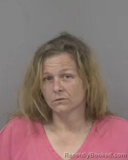 Mugshot of TAMMY LYNN HUGHES booked in Johnston County, North Carolina on June 21, 2026