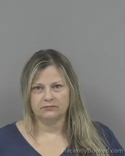 Mugshot of Brandi Marie Johnston booked in Johnston County, North Carolina on August 11, 2026