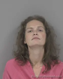 Mugshot of Jessica Dawn Johnson booked in Johnston County, North Carolina on August 16, 2026