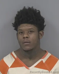 Booking photo from Johnston County, North Carolina